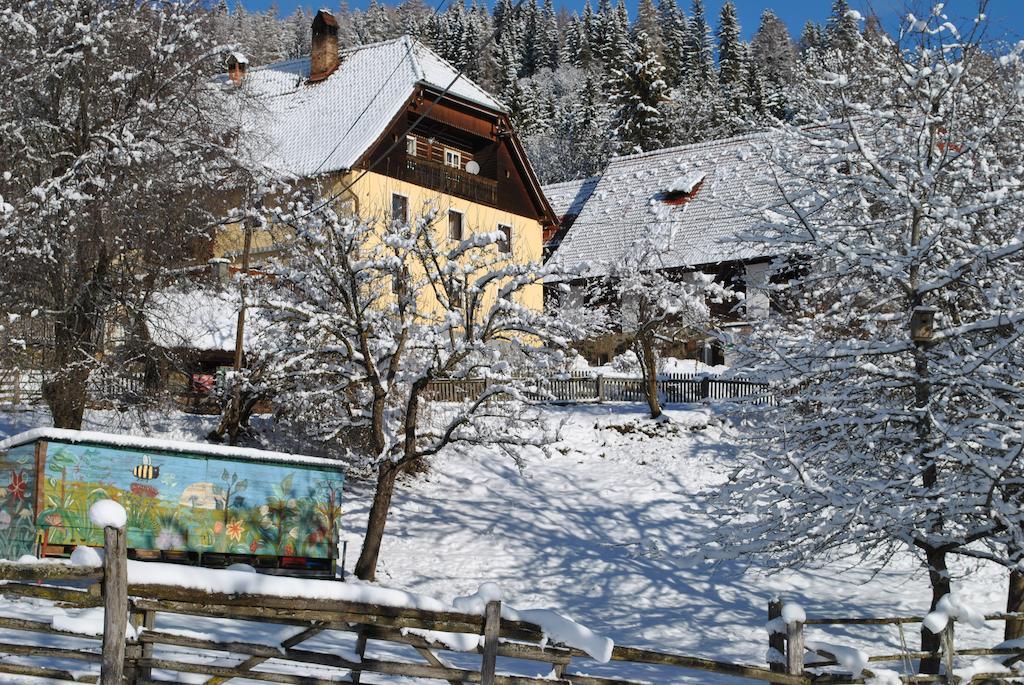 Вилла Schlintl-Hof Liebenfels Экстерьер фото