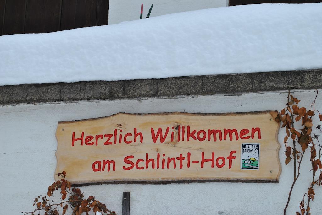 Вилла Schlintl-Hof Liebenfels Экстерьер фото