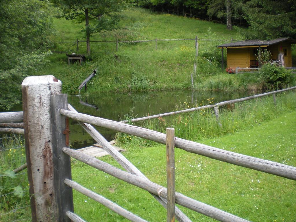 Вилла Schlintl-Hof Liebenfels Экстерьер фото