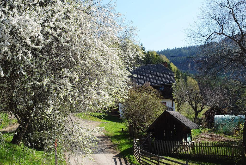 Вилла Schlintl-Hof Liebenfels Экстерьер фото