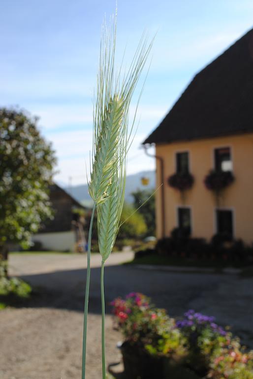 Вилла Schlintl-Hof Liebenfels Экстерьер фото