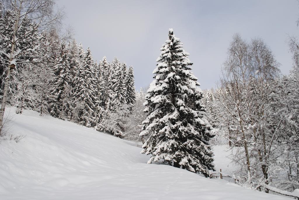 Вилла Schlintl-Hof Liebenfels Экстерьер фото