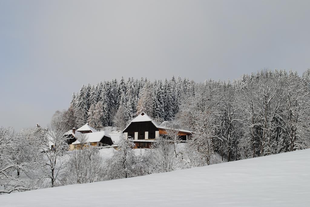 Вилла Schlintl-Hof Liebenfels Экстерьер фото