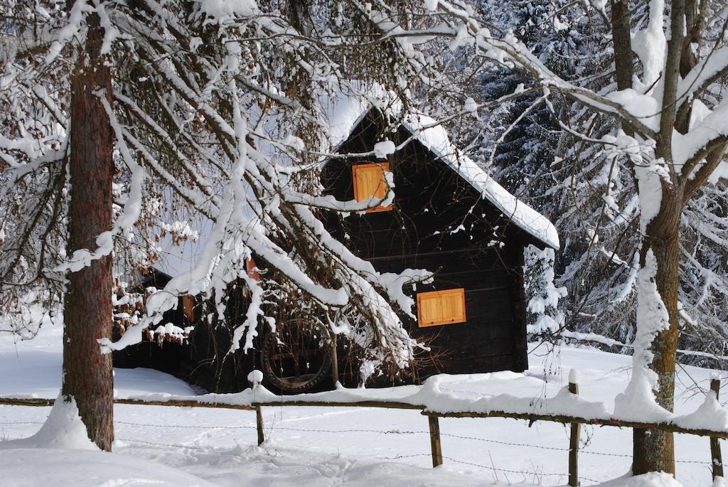 Вилла Schlintl-Hof Liebenfels Экстерьер фото
